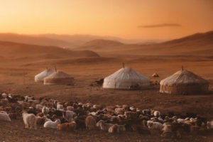yurts-in-mongolia